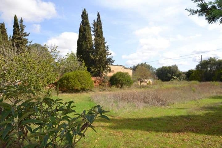 Charming Weekend Finca Near Muro - Just 350m from Train Station