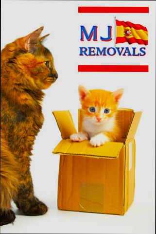What’s the process of moving your pets to Spain? preview