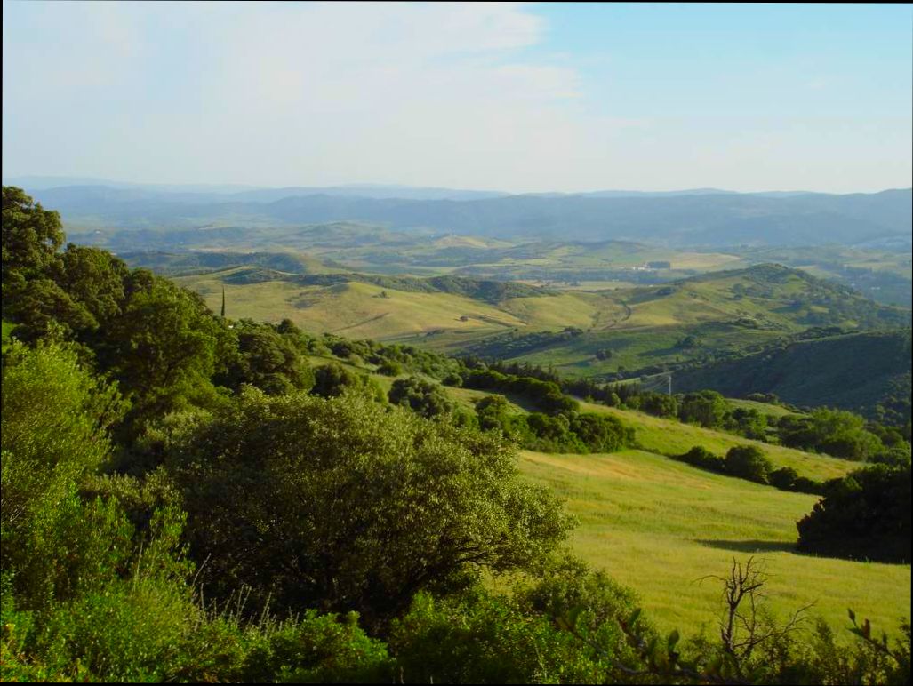 Can foreigners buy rural land in Spain? - 3