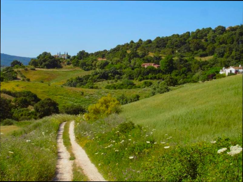 Can foreigners buy rural land in Spain? - 12