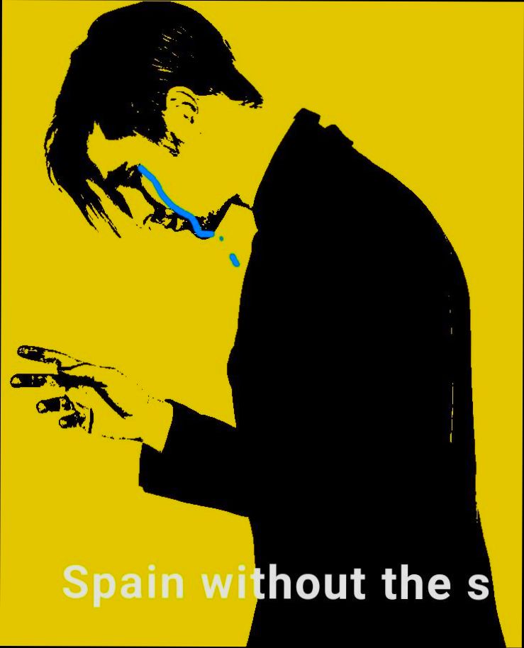 Can you live in Spain without speaking Spanish? - 12