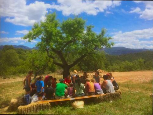 Can you live off-grid in Spain legally? preview