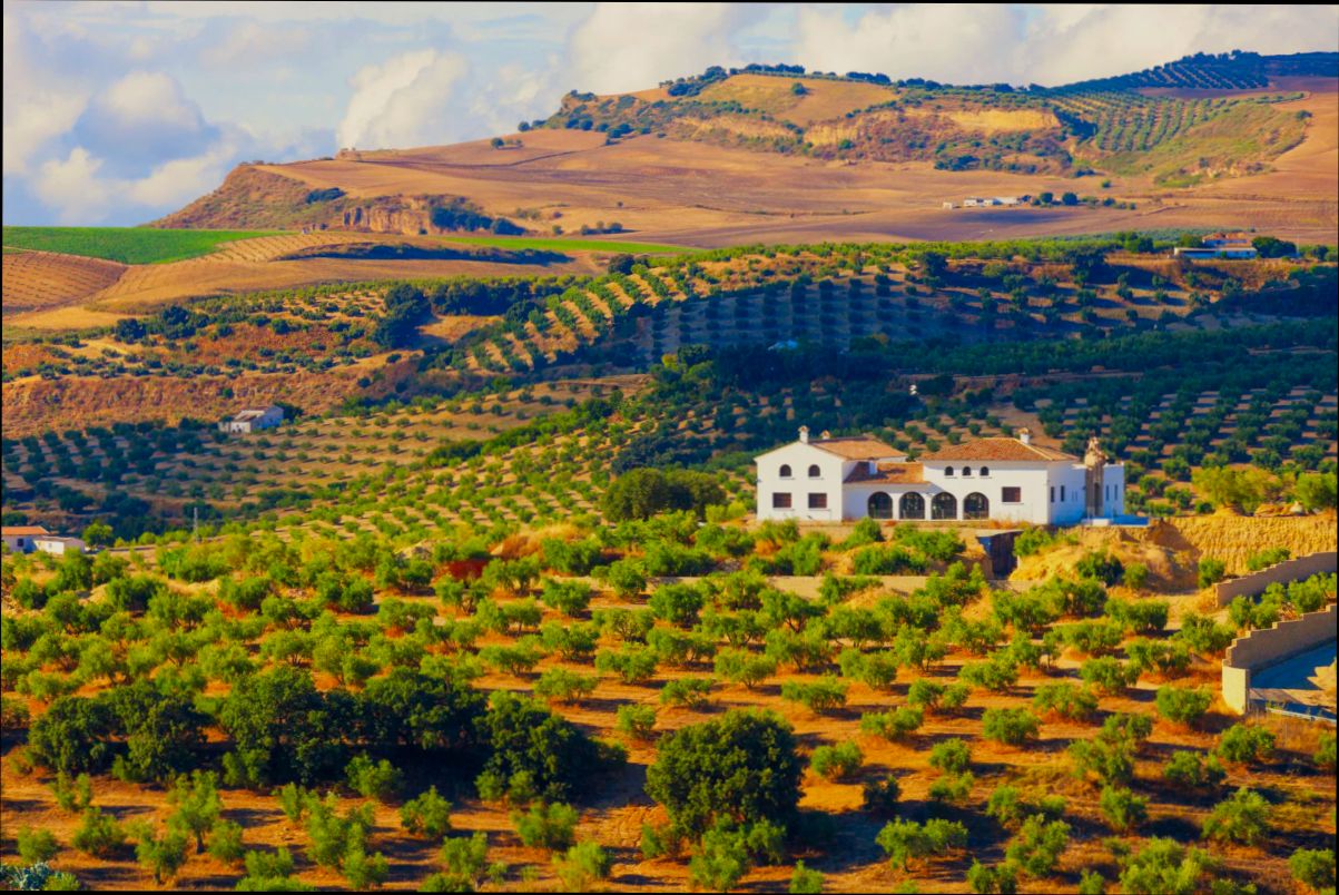 Can foreigners rent out property in Spain? - 8