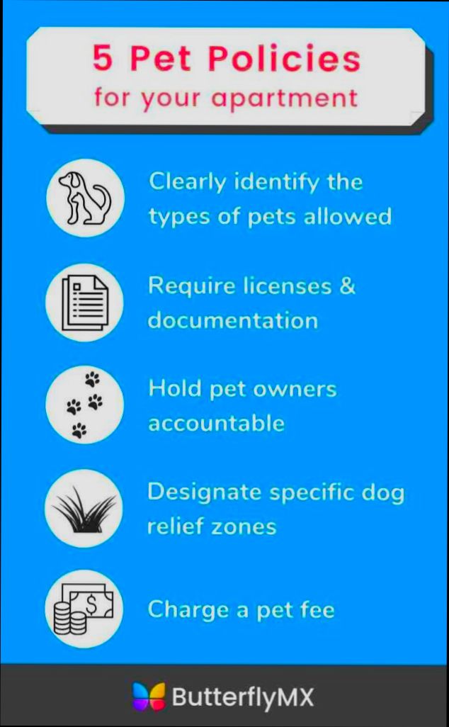 Are pets allowed in rentals? What are the rules in Spain? preview